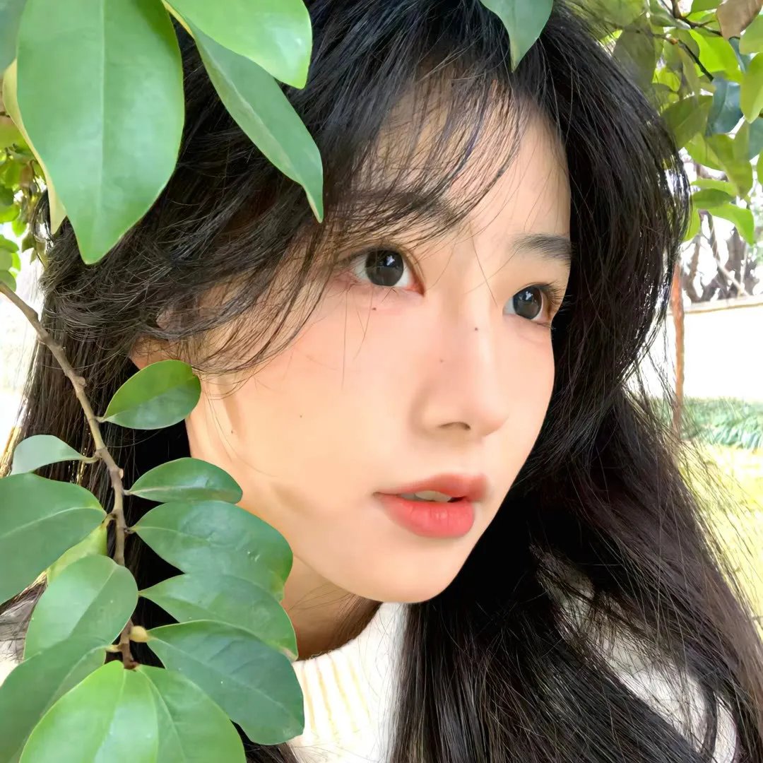 拜物有理